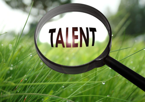 Enhancing Talent Strategy